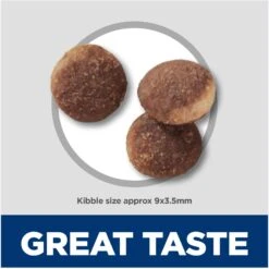 Hill's Science Diet Sensitive Stomach & Sensitive Skin Pollock Meal & Barley Recipe Adult Dry Cat Food -Furry Friends 819934 PT5. AC SS1800 V1681400031