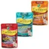 Earthborn Holistic Autumn Tide Tuna Dinner With Pumpkin In Gravy Grain-Free Cat Food + 2 Items -Furry Friends 822558 MAIN. AC SS1800 V1680643395