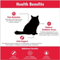 Joint MAX Soft Chews For Cats -Furry Friends 82410 PT5. AC SS1800 V1679927344