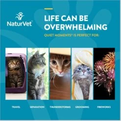 NaturVet Scoopables Quiet Moments Calming Aid Cat Supplement, 5.5-oz Bag 16 NaturVet Scoopables Quiet Moments Calming Aid Cat Supplement, 5.5-oz Bag -Furry Friends 825198 PT5. AC SS1800 V1682004017