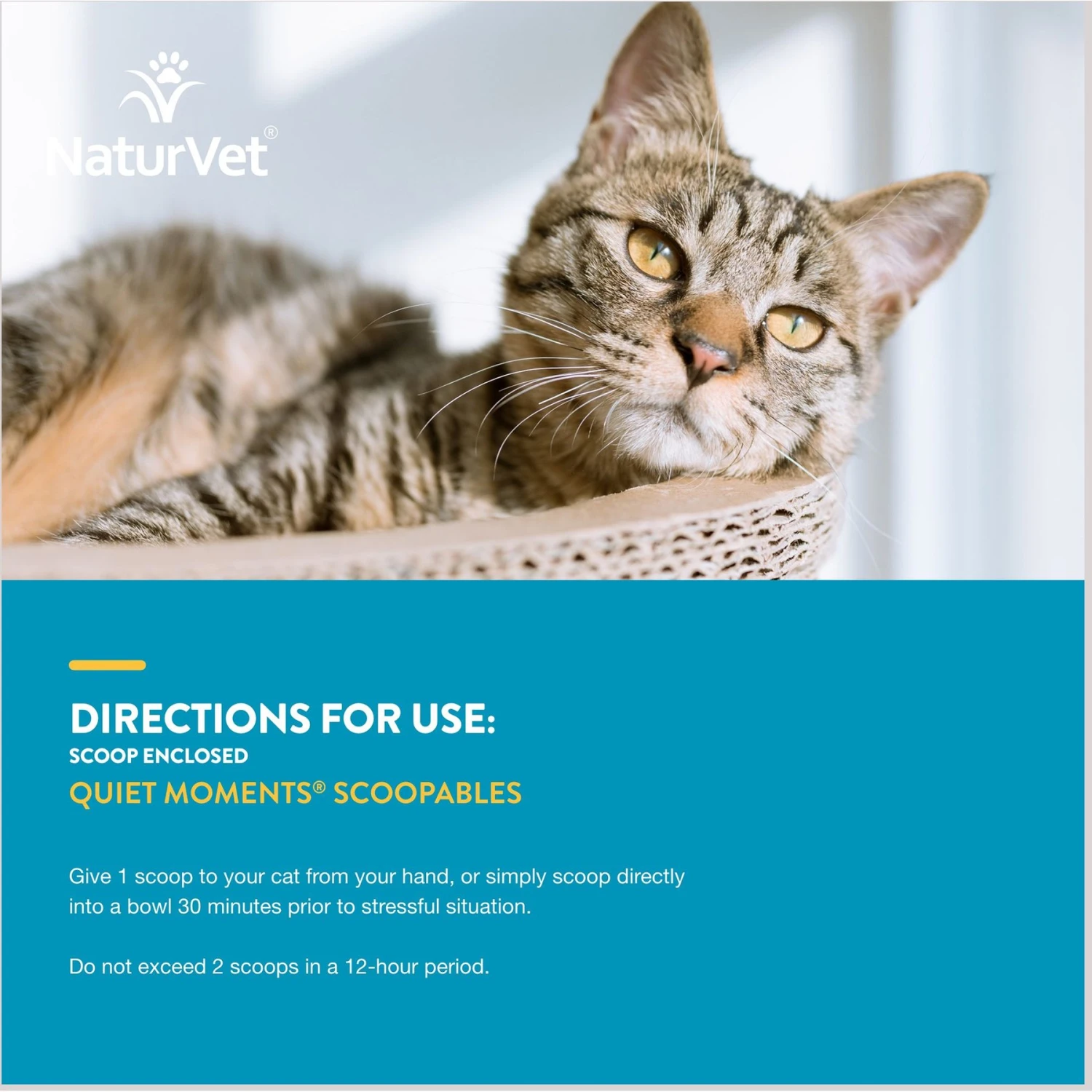 NaturVet Scoopables Quiet Moments Calming Aid Cat Supplement, 5.5-oz Bag 11 NaturVet Scoopables Quiet Moments Calming Aid Cat Supplement, 5.5-oz Bag - Image 9