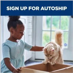 Hill's Prescription Diet K/d Kidney Care Vegetable & Tuna Stew Wet Cat Food 19 Hill's Prescription Diet K/d Kidney Care Vegetable & Tuna Stew Wet Cat Food -Furry Friends 82586 PT8. AC SS1800 V1691776100