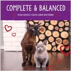 Stella & Chewy's Freeze-Dried Raw Morsels Bountiful Beef Recipe Grain-Free Protein Rich Cat & Kitten Food, 8-oz Bag -Furry Friends 826062 PT7. AC SS1800 V1683565291