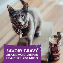 Stella & Chewy's Carnivore Cravings Purrfect Pate Variety Pack Cat Food, 2.8-oz Can, Case Of 12 15 Stella & Chewy's Carnivore Cravings Purrfect Pate Variety Pack Cat Food, 2.8-oz Can, Case Of 12 -Furry Friends 826078 PT4. AC SS1800 V1683553354