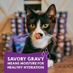 Stella & Chewy's Carnivore Cravings Savory Shreds Variety Pack Cat Food, 2.8-oz Can, Case Of 12 -Furry Friends 826094 PT4. AC SS1800 V1683552372