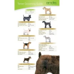 Andis ProClip Excel 5-Speed Detachable Blade Cat & Dog Hair Grooming Clipper & Andis CeramicEdge Detachable Blade -Furry Friends 826382 PT8. AC SS1800 V1681331703