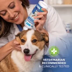 Vetnique Labs Oticbliss Ear Flush Cleaner Anti-Bacterial & Anti-Fungal Medicated Dog & Cat Ear Flush Antiseptic Rinse Cleanser & Vetnique Labs Oticbliss Advanced Cleaning, Soothing Aloe & Medicated Dog & Cat Ear Wipes -Furry Friends 826478 PT4. AC SS1800 V1681332031