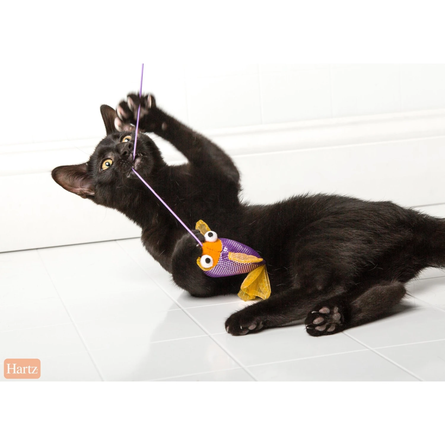 Hartz Just For Cats Gone Fishin' Cat Wand Toy With Catnip, Color Varies 6 Hartz Just For Cats Gone Fishin' Cat Wand Toy With Catnip, Color Varies - Image 4