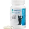 Duralactin Feline Capsules Cat Supplement 1 Duralactin Feline Capsules Cat Supplement -Furry Friends 83107. AC SS1800 V1449083778