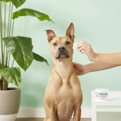 Miracle Care Sterile Eye Wash Pads For Dogs & Cats 13 Miracle Care Sterile Eye Wash Pads For Dogs & Cats -Furry Friends 83721 PT3. AC SS1800 V1543359780