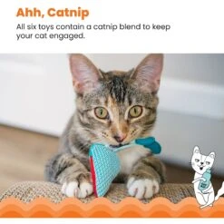 Catstages Garden Fur-ends Plush Catnip Cat Toy, Multicolor, 6 Count -Furry Friends 837478 PT3. AC SS1800 V1681836203