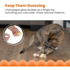 Catstages Purrsecco & Cupcakes Plush Interactive Catnip Cat Toy, Multicolor, 6 Count -Furry Friends 837494 PT1. AC SS1800 V1681834956