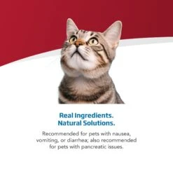 Farmina Vet Life Gastrointestinal Feline Dry Cat Food -Furry Friends 837974 PT3. AC SS1800 V1703880533