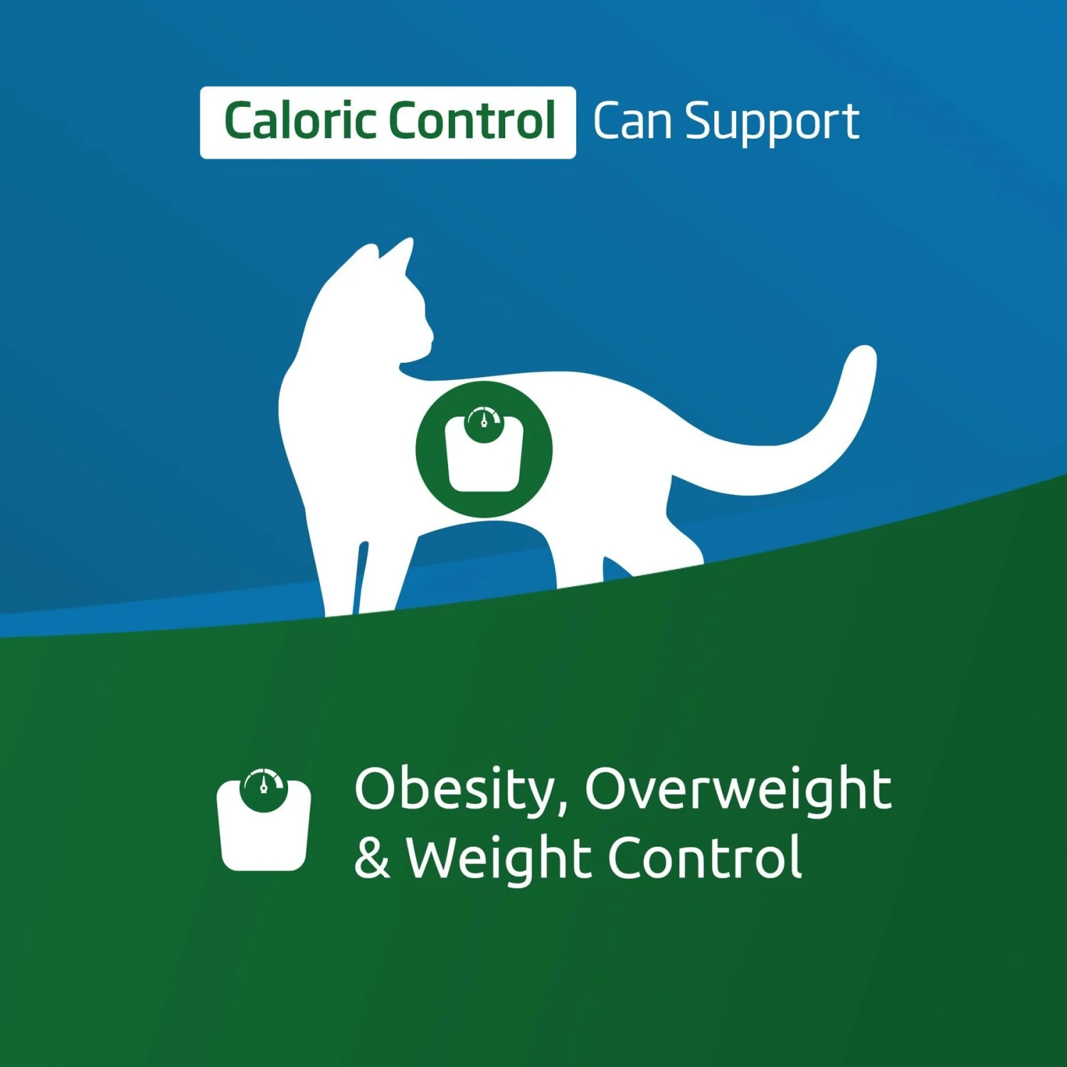 Farmina Vet Life Caloric Control Feline Dry Cat Food 4 Farmina Vet Life Caloric Control Feline Dry Cat Food - Image 2