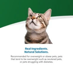 Farmina Vet Life Caloric Control Feline Dry Cat Food 13 Farmina Vet Life Caloric Control Feline Dry Cat Food -Furry Friends 837998 PT3. AC SS1800 V1703880174