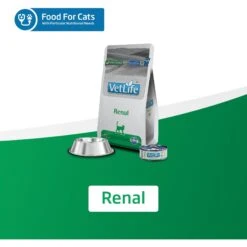 Farmina Vet Life Renal Feline Dry Cat Food -Furry Friends 838022 PT7. AC SS1800 V1703880472