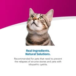 Farmina Vet Life Urinary St Management Feline Dry Cat Food 13 Farmina Vet Life Urinary St Management Feline Dry Cat Food -Furry Friends 838046 PT3. AC SS1800 V1703880528