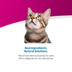 Farmina Vet Life Urinary St Control Feline Dry Cat Food -Furry Friends 838070 PT3. AC SS1800 V1703880471