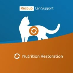 Farmina Vet Life Recoup Recipe Wet Cat Food, 3-oz Can, Case Of 12 -Furry Friends 838182 PT1. AC SS1800 V1703880349