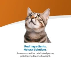 Farmina Vet Life Recoup Recipe Wet Cat Food, 3-oz Can, Case Of 12 -Furry Friends 838182 PT3. AC SS1800 V1703880350