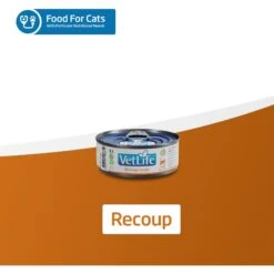 Farmina Vet Life Recoup Recipe Wet Cat Food, 3-oz Can, Case Of 12 -Furry Friends 838182 PT6. AC SS1800 V1703880350