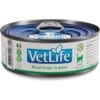 Farmina Vet Life Cat Renal Recipe In Gravy Wet Cat Food -Furry Friends 838214 MAIN. AC SS1800 V1703880290