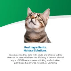 Farmina Vet Life Cat Renal Recipe In Gravy Wet Cat Food -Furry Friends 838214 PT3. AC SS1800 V1703880289