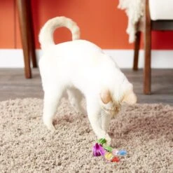 Fat Cat Classic Springy Worms Cat Toy, Color Varies -Furry Friends 83987 PT5. AC SS1800 V1527256580
