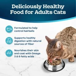 Blue Buffalo Indoor Hairball & Weight Control Chicken & Brown Rice Recipe Adult Dry Cat Food -Furry Friends 84167 PT3. AC SS1800 V1668762205