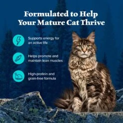 Blue Buffalo Wilderness Wild Delights Minced Chicken & Trout In Tasty Gravy Grain-Free Canned Cat Food 12 Blue Buffalo Wilderness Wild Delights Minced Chicken & Trout In Tasty Gravy Grain-Free Canned Cat Food -Furry Friends 84200 PT3. AC SS1800 V1646791583