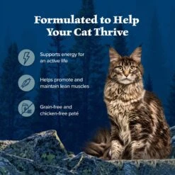 Blue Buffalo Wilderness Rocky Mountain Recipe Flaked Trout Feast Adult Grain-Free Canned Cat Food -Furry Friends 84214 PT3. AC SS1800 V1604369291