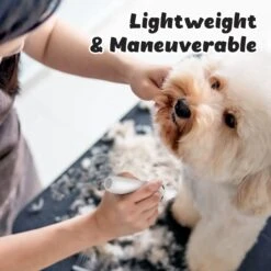 Casfuy Small Low Noise 2 In 1 Trimming Paw Face Narrow Dog Hair Clippers, White -Furry Friends 842270 PT6. AC SS1800 V1685649172