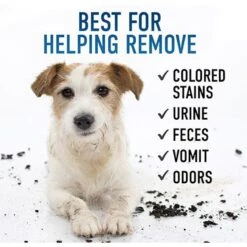 Hoover Oxy Stain Dog & Cat Stain Remover -Furry Friends 842574 PT2. AC SS1800 V1682534428