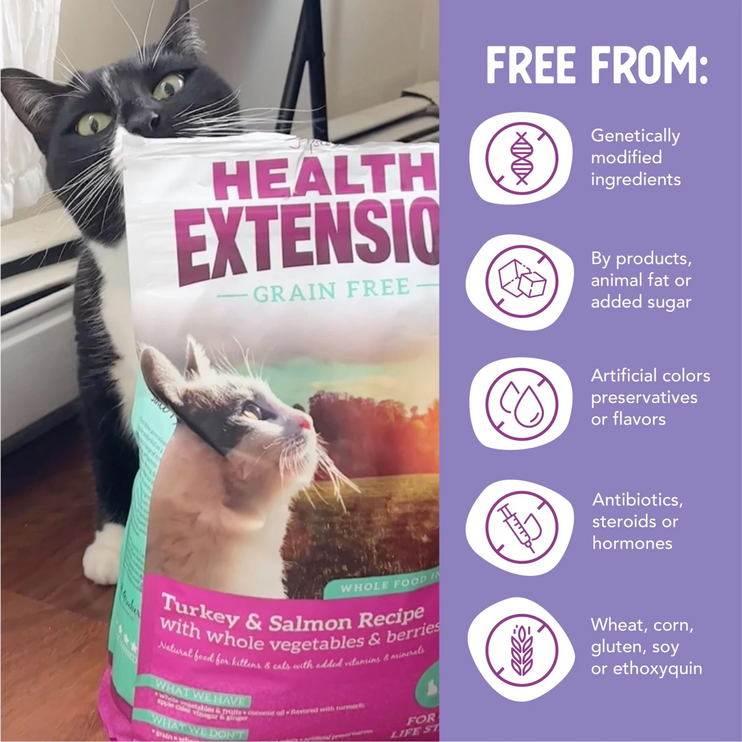 Health Extension Grain-Free Turkey & Salmon Recipe Dry Cat Food 7 Health Extension Grain-Free Turkey & Salmon Recipe Dry Cat Food - Image 5