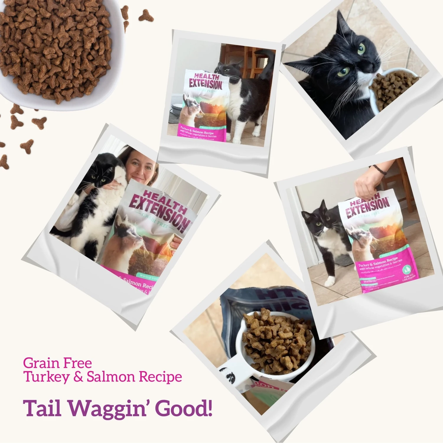 Health Extension Grain-Free Turkey & Salmon Recipe Dry Cat Food 9 Health Extension Grain-Free Turkey & Salmon Recipe Dry Cat Food - Image 7