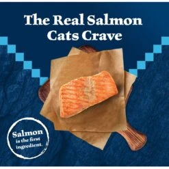 Blue Buffalo Wilderness Salmon Recipe Grain-Free Dry Cat Food 11 Blue Buffalo Wilderness Salmon Recipe Grain-Free Dry Cat Food -Furry Friends 84281 PT2. AC SS1800 V1689282790