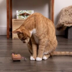 SmartyKat Instincts Meandering Mouse Motion Battery Powered Plush Cat Toy -Furry Friends 847062 PT2. AC SS1800 V1683730244