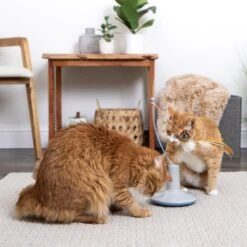 SmartyKat Instincts Wild Wand Electronic Motion Cat Toy -Furry Friends 847078 PT6. AC SS1800 V1683730259