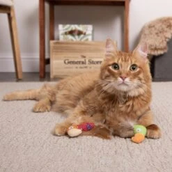 SmartyKat Instincts Love Mates Feathery Plush HappyNip Silvervine & Catnip Bird Cat Toys, 2-pack -Furry Friends 847110 PT2. AC SS1800 V1683729344