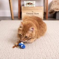 SmartyKat Instincts Chatty Chirp Plush HappyNip Silvervine & Catnip Bird Electronic Sound Cat Toy 11 SmartyKat Instincts Chatty Chirp Plush HappyNip Silvervine & Catnip Bird Electronic Sound Cat Toy -Furry Friends 847126 PT2. AC SS1800 V1683729178