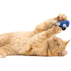 SmartyKat Instincts Chatty Chirp Plush HappyNip Silvervine & Catnip Bird Electronic Sound Cat Toy 12 SmartyKat Instincts Chatty Chirp Plush HappyNip Silvervine & Catnip Bird Electronic Sound Cat Toy -Furry Friends 847126 PT3. AC SS1800 V1683729377