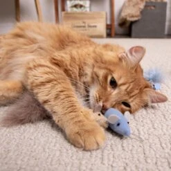 SmartyKat Instincts Catnip Caravan HappyNip Silvervine Toss & Bat Plush Mice Cat Toys, 3-pack 11 SmartyKat Instincts Catnip Caravan HappyNip Silvervine Toss & Bat Plush Mice Cat Toys, 3-pack -Furry Friends 847190 PT2. AC SS1800 V1683729410