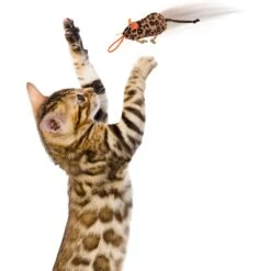 SmartyKat Instincts Safari Sneakers HappyNip Silvervine & Catnip Plush Cat Toys & Launcher Cat Toy, 3-pack & 1 Count 15 SmartyKat Instincts Safari Sneakers HappyNip Silvervine & Catnip Plush Cat Toys & Launcher Cat Toy, 3-pack & 1 Count -Furry Friends 847206 PT5. AC SS1800 V1683728375