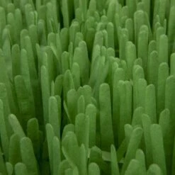 SmartyKat Instincts Meadow Mayhem Paper Grass Hide & Seek Cat Toy, 2-pack -Furry Friends 847238 PT6. AC SS1800 V1683728572