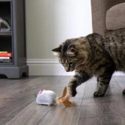 SmartyKat Instincts Scamper Mouse Soft Plush Battery-Powered Electronic Motion Cat Toy 11 SmartyKat Instincts Scamper Mouse Soft Plush Battery-Powered Electronic Motion Cat Toy -Furry Friends 847382 PT2. AC SS1800 V1689344987