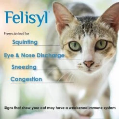 Felisyl Immune System Support For Cats -Furry Friends 84797 PT2. AC SS1800 V1680613715