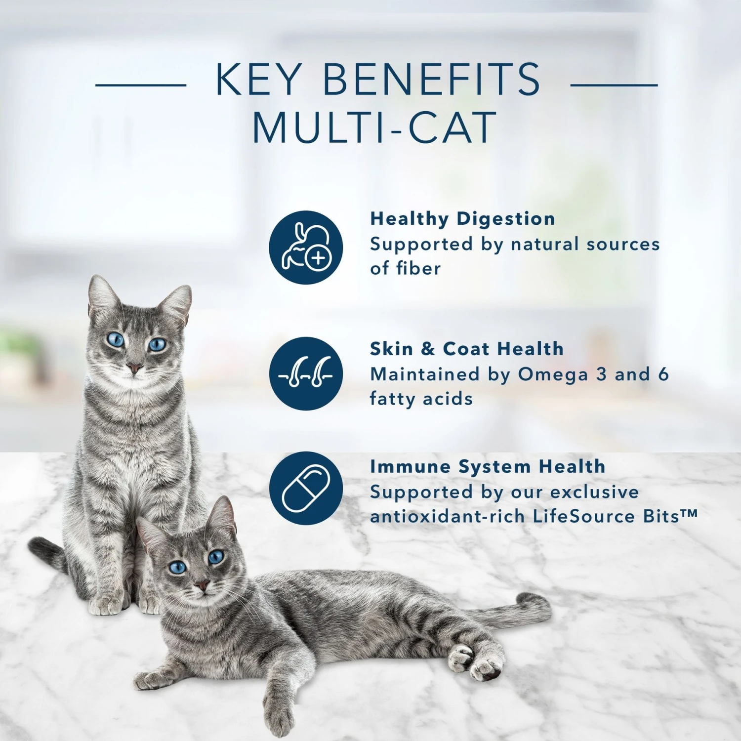 Blue Buffalo Tastefuls Multi Cat Natural Chicken & Turkey Adult Dry Cat Food 7 Blue Buffalo Tastefuls Multi Cat Natural Chicken & Turkey Adult Dry Cat Food - Image 5