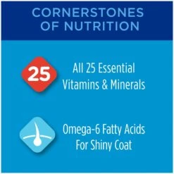 Purina Friskies Seafood & Chicken Pate Favorites Variety Pack Wet Cat Food, 5.5-oz Can, Case Of 40 & Cat Chow Complete With Chicken & Vitamins Dry Cat Food -Furry Friends 854310 PT7. AC SS1800 V1683744273