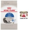 Royal Canin Feline Health Nutrition Indoor Adult Dry Cat Food & Royal Canin Feline Health Nutrition Adult Instinctive Thin Slices In Gravy Canned Cat Food -Furry Friends 854350 MAIN. AC SS1800 V1683743696