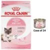 Royal Canin Feline Health Nutrition Mother & Babycat Dry Cat Food & Royal Canin Feline Health Nutrition Mother & Babycat Ultra Soft Mousse In Sauce Canned Cat Food -Furry Friends 854358 MAIN. AC SS1800 V1683744279